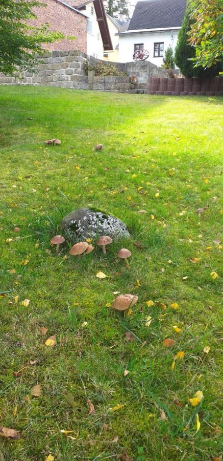 rekreační dům Pohoda Jiřetín pod Jedlovou Exterior foto